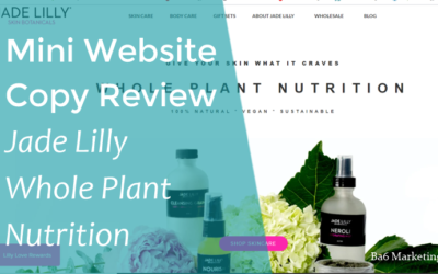 Mini Web Copy Review – Jade Lilly – The value of a good value proposition