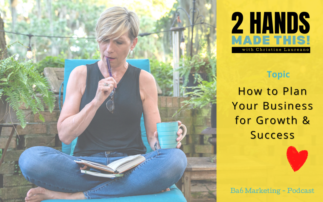 Episode 27 – How to Plan Your Business for Growth & Success